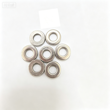 Stainless Steel Flat Washer